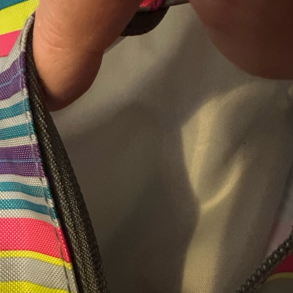 Euc Eastsport Backpack In Bright Colours & Gray. … - image 3